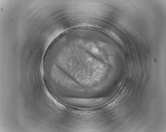 X0000059251084200510281950