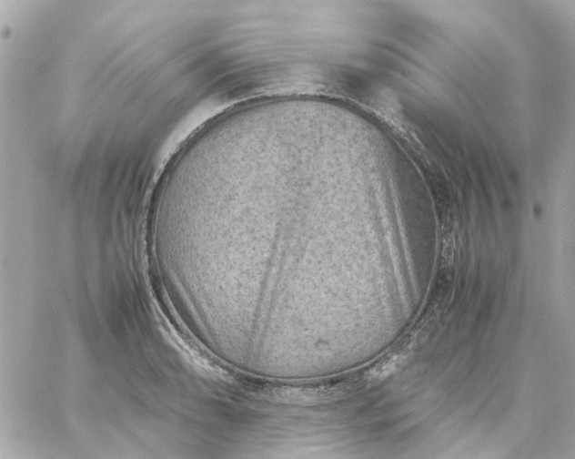 X0000059251086200510281950