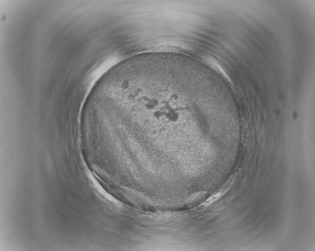 X0000059251087200510281950