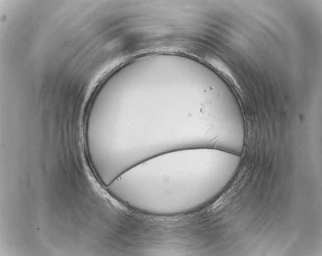 X0000059251088200510281950