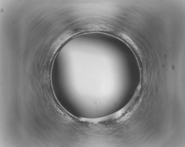 X0000059251089200510281950