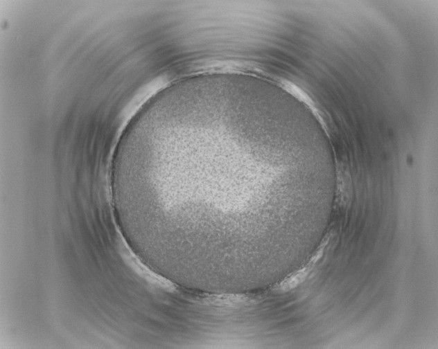 X0000059251090200510281950