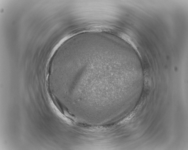 X0000059251091200510281950