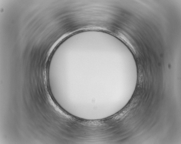 X0000059251092200510281950