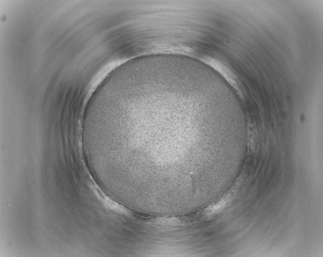 X0000059251094200510281950