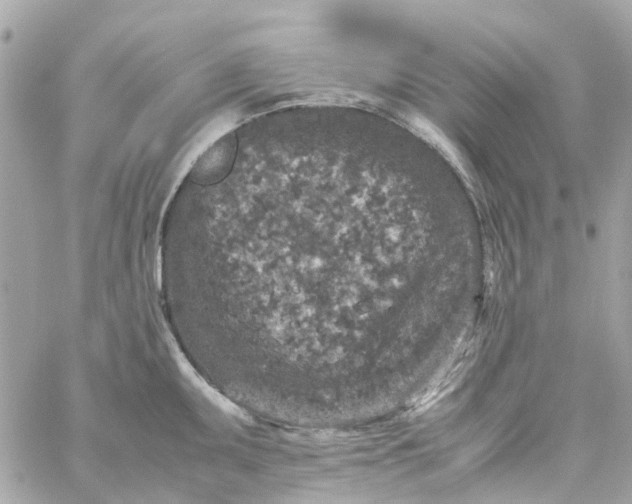 X0000059251095200510281950