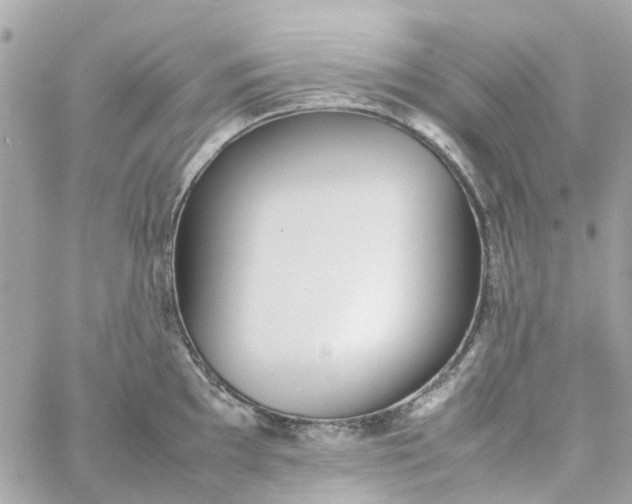 X0000059251097200510281950