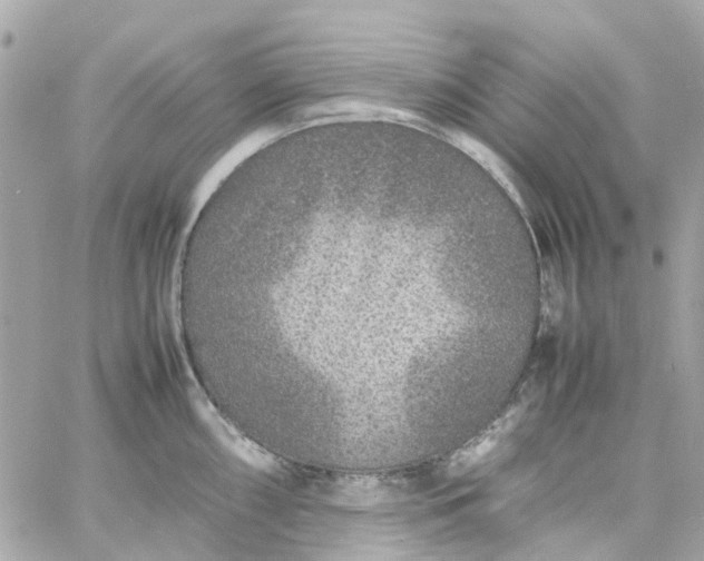 X0000059251098200510281950