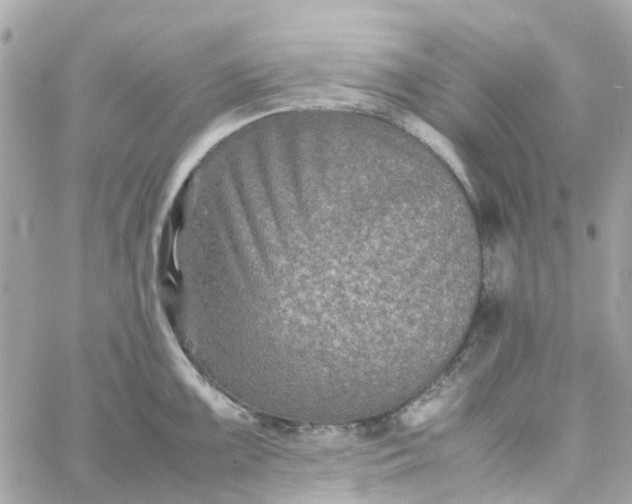 X0000059251099200510281950