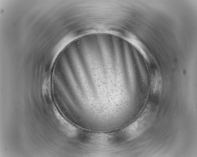 X0000059251100200510281950