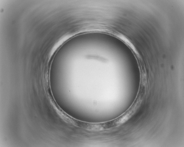 X0000059251101200510281949