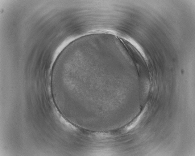 X0000059251102200510281949