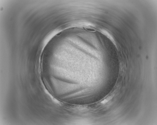 X0000059251103200510281949