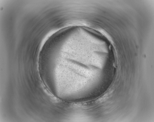 X0000059251104200510281949