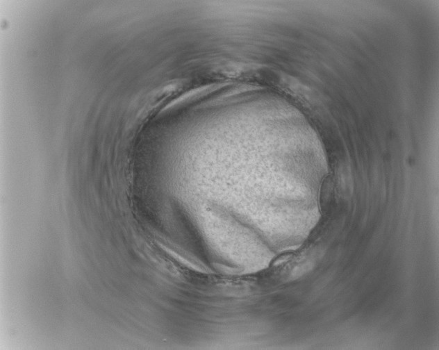 X0000059251105200510281949