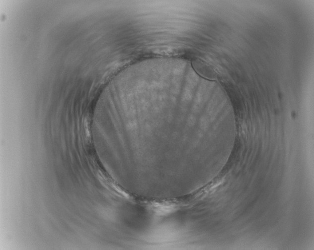 X0000059251106200510281949