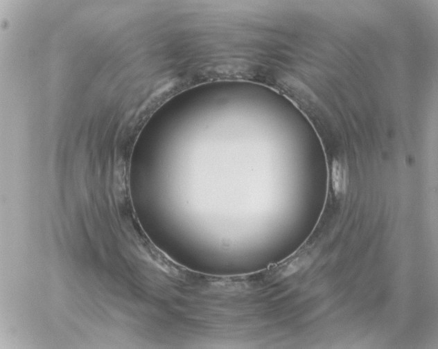 X0000059251107200510281949