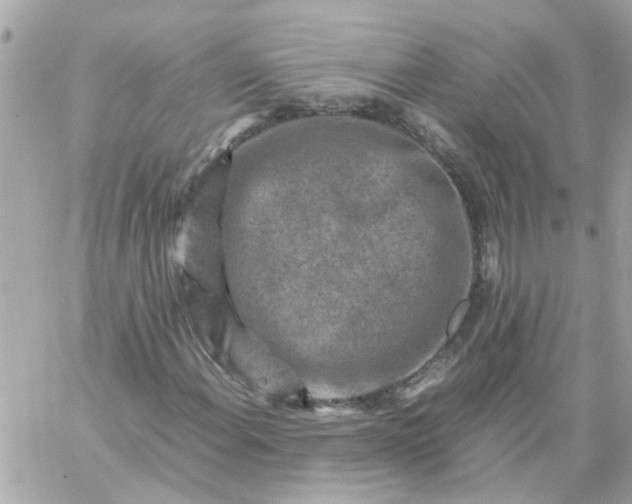 X0000059251108200510281949