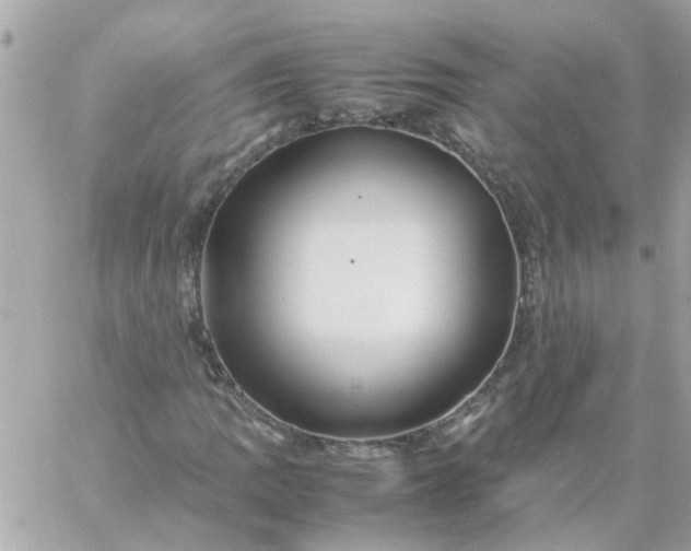 X0000059251109200510281949