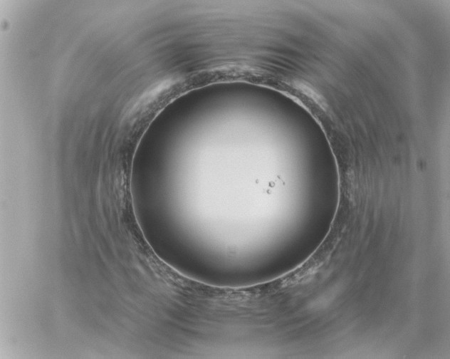 X0000059251111200510281949