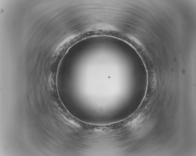 X0000059251112200510281949