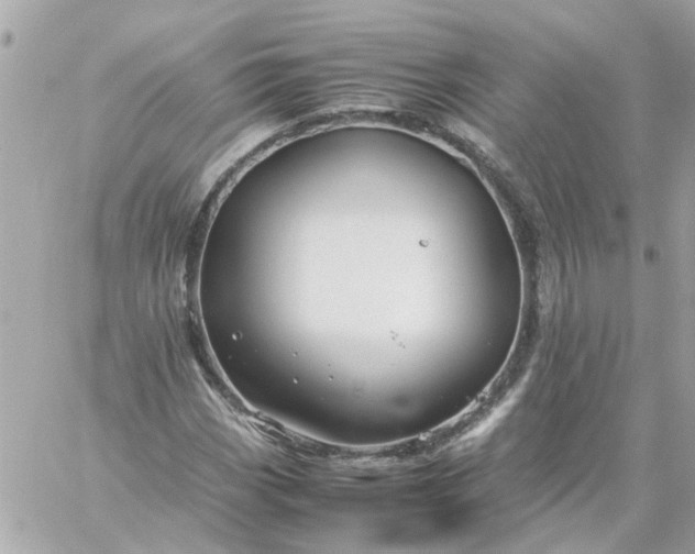 X0000059251113200510281949