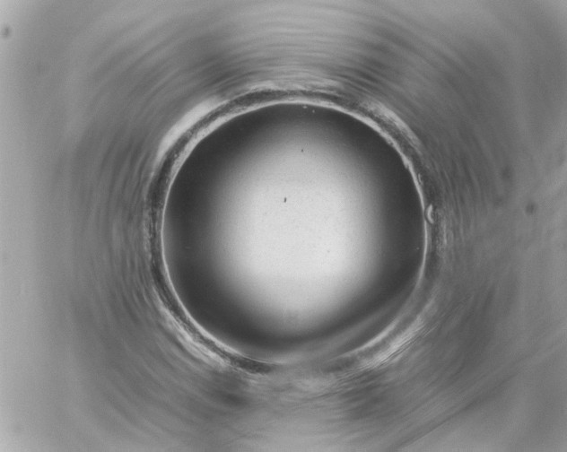 X0000059251114200510281949