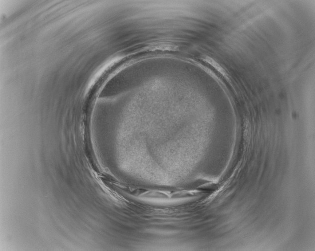 X0000059251115200510281949