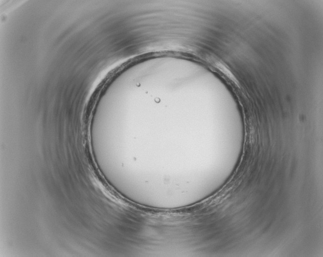 X0000059251116200510281949