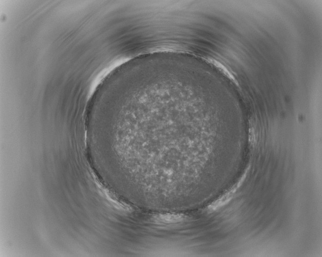 X0000059251117200510281949