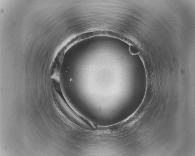 X0000059251118200510281949