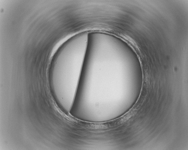 X0000059251120200510281949