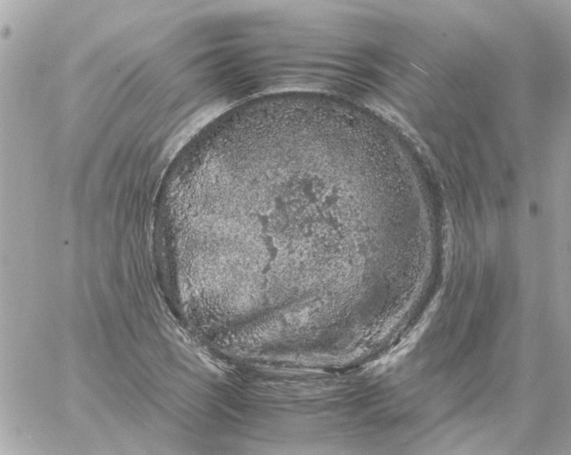 X0000059251121200510281949