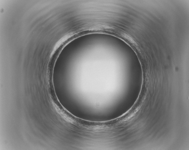 X0000059251122200510281949