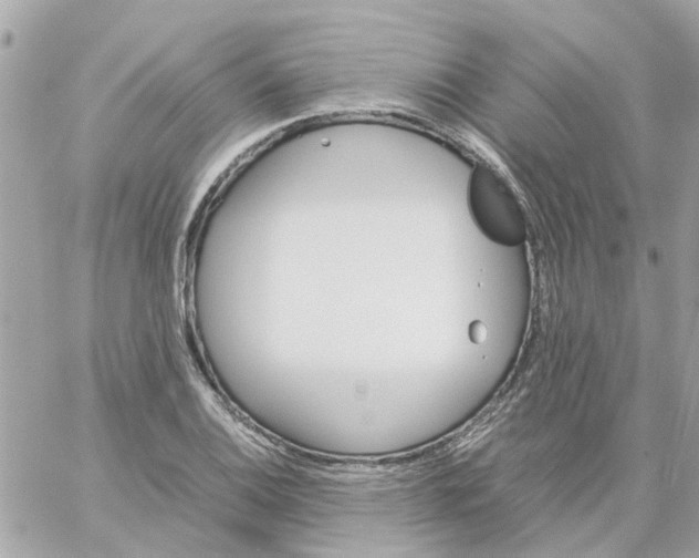 X0000059251124200510281949