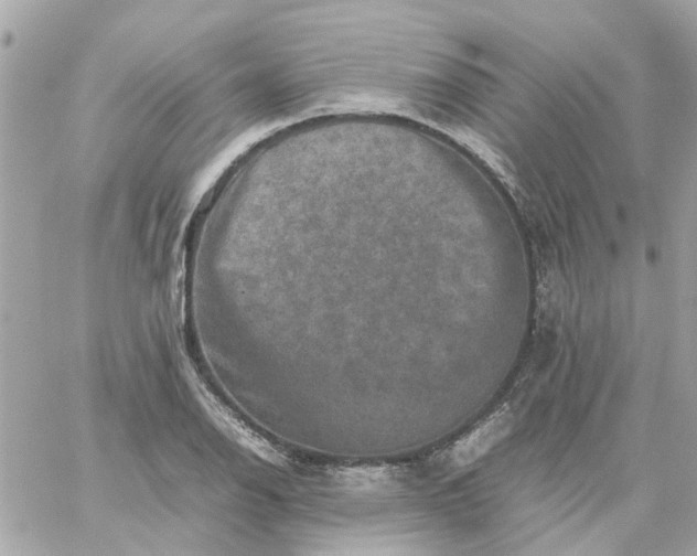 X0000059251126200510281949