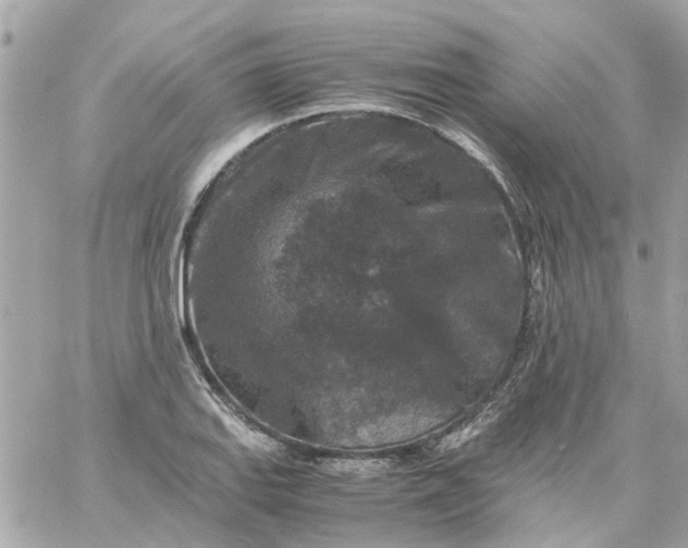 X0000059251127200510281949