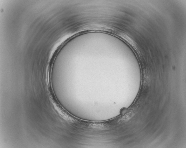 X0000059251128200510281949