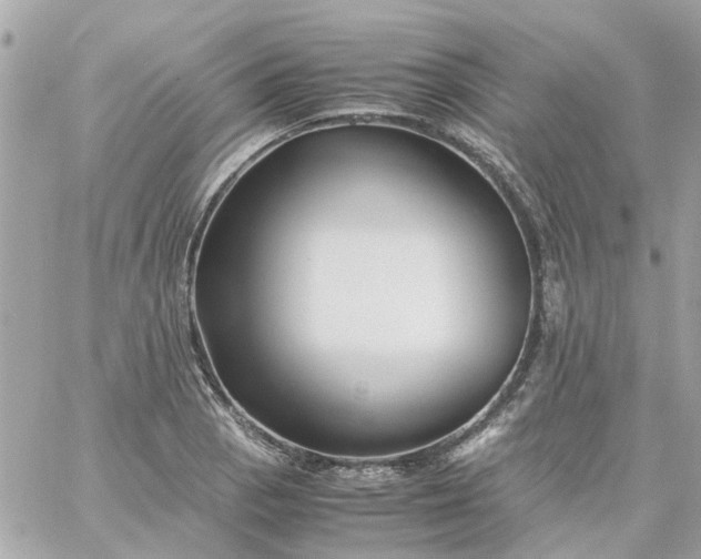 X0000059251129200510281949