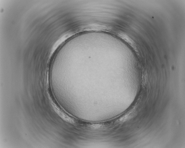 X0000059251130200510281949