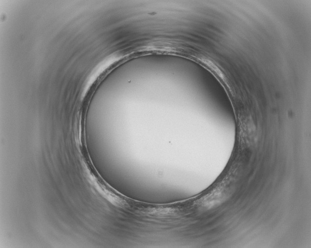 X0000059251131200510281949