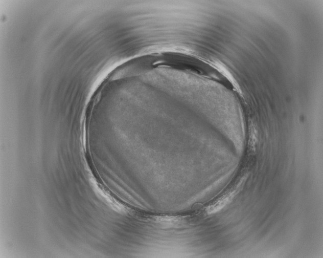 X0000059251132200510281949