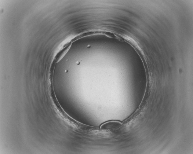 X0000059251133200510281949