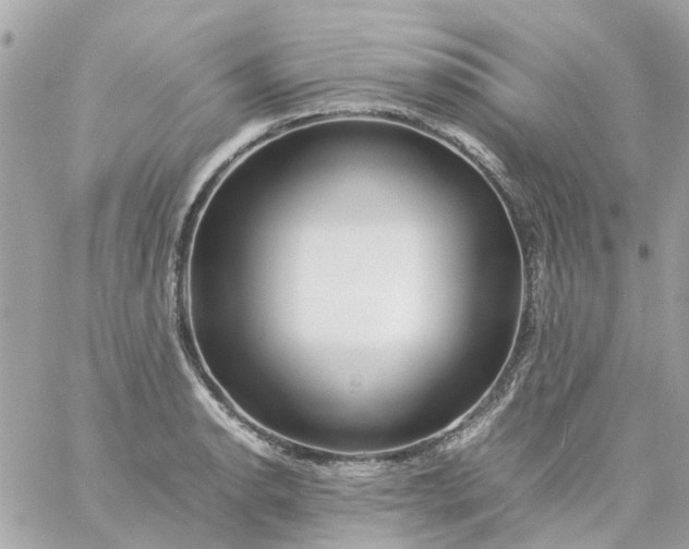 X0000059251134200510281949