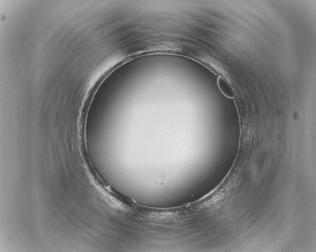 X0000059251135200510281949