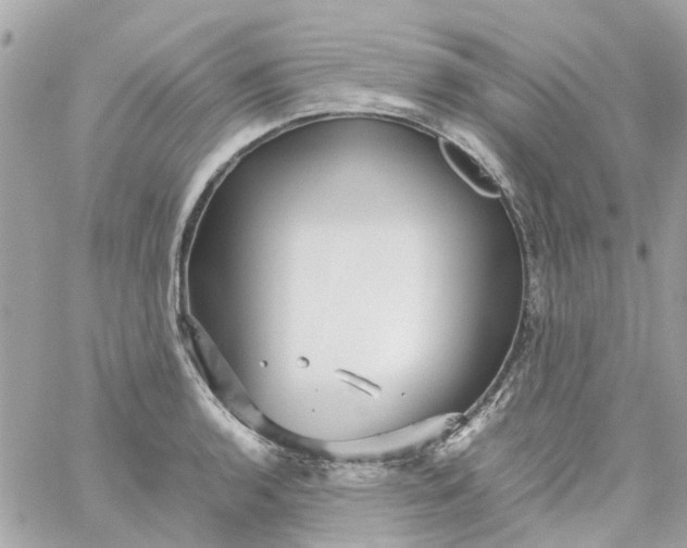 X0000059251136200510281949