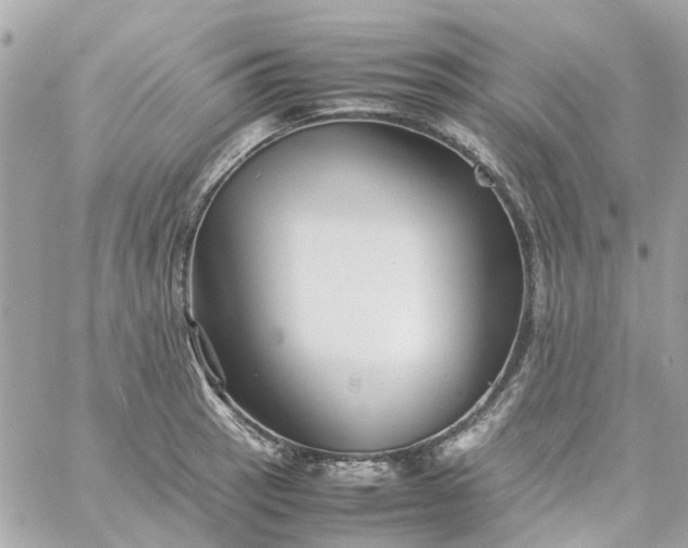 X0000059251137200510281949