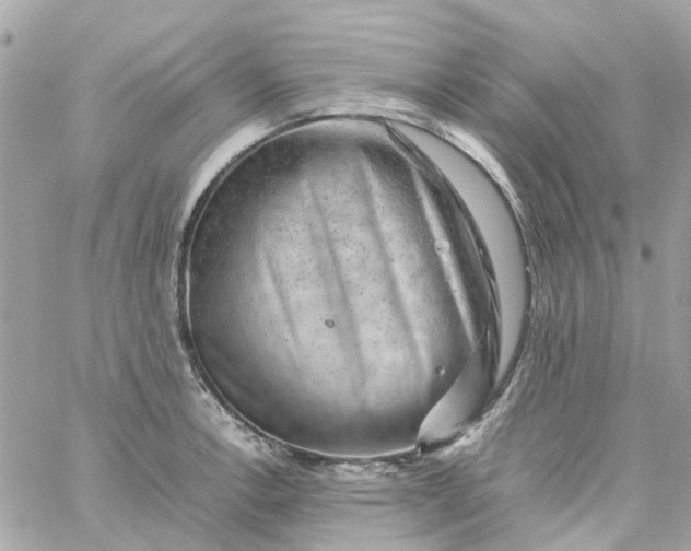 X0000059251138200510281949