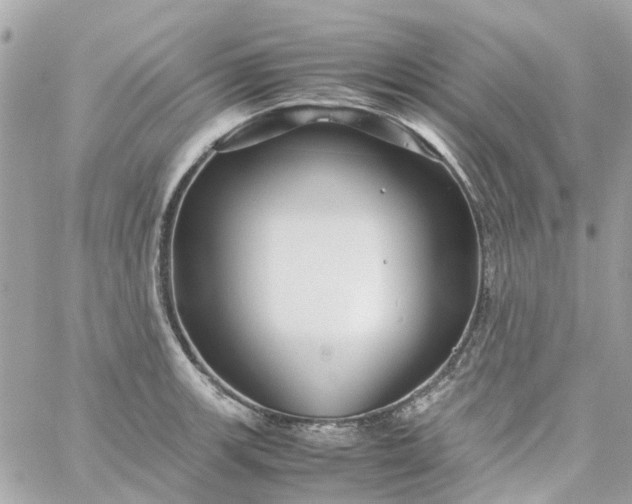 X0000059251139200510281949