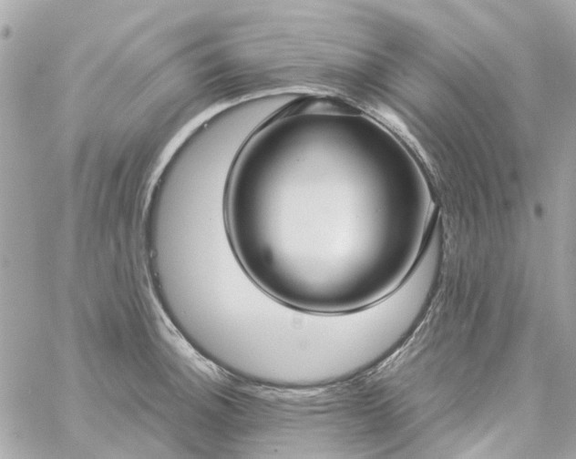 X0000059251140200510281949